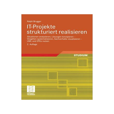 预订 IT-Projekte strukturiert realisieren