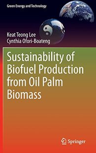 from Sustainability Production Biofuel Oil 预订 Palm Biomass