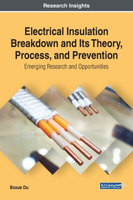 【预订】Electrical Insulation Breakdown and Its Theory, Process, and Prevention