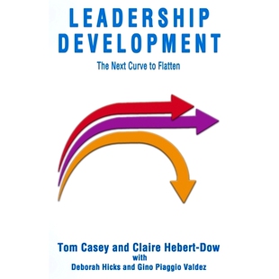 The Next Curve 预订 Flatten Development 9781951744243 Leadership