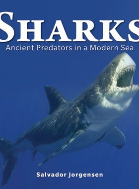 【预售】Sharks: Ancient Predators in a Modern Sea