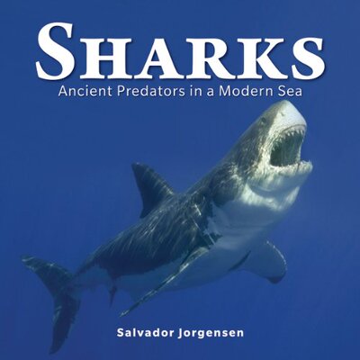 【预售】Sharks: Ancient Predators in a Modern Sea