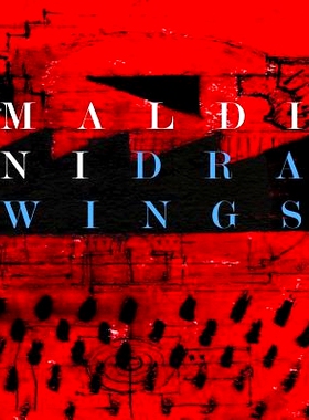 预订 Maldini Drawings: 9781508476047