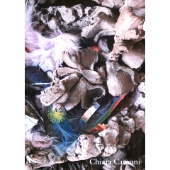 预订 Chiamare a raduno : sorelle : falene e fiammelle : ossa di leonesse, pietre e serpentesse: 9791254631829