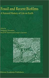 Recent and Fossil Biofilms 预订