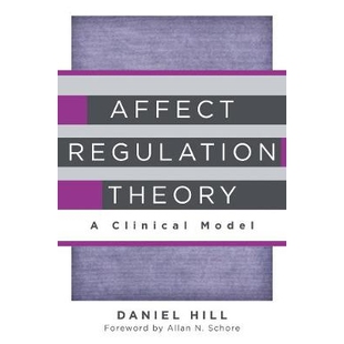 Theory Clinical 预订 情感调节理论：一个临床模型 Regulation Model 9780393707267 Affect