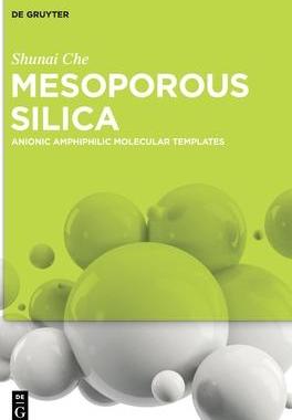 [预订]Mesoporous Silica 9783110554205