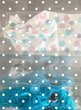 【预订】Liz Magor 9780941548786