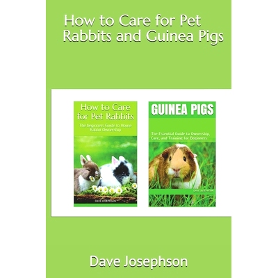 预订 How to Care for Pet Rabbits and Guinea Pigs: The Essential Guide to Ownership, Care, and Training for Beginners-2 B