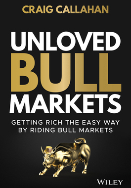 [预订]Unloved Bull Markets