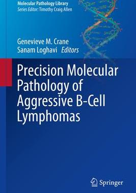 [预订]Precision Molecular Pathology of Aggressive B-Cell Lymphomas 9783031468414