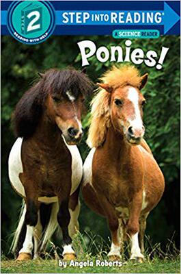 【预售】Ponies!