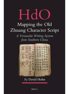 预订 Mapping the Old Zhuang Character Script: A Vernacular Writing System from Southern China 古壮族文字图：中国南方方言