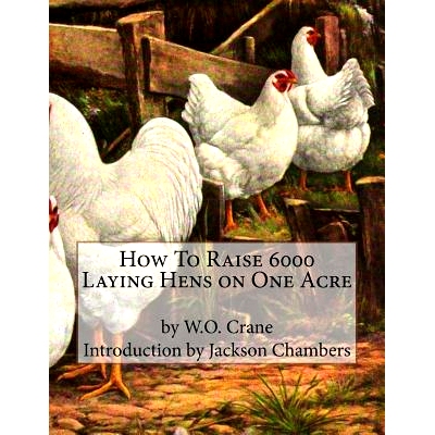 预订 How To Raise 6000 Laying Hens on One Acre: 9781537565163