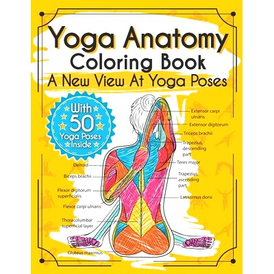 预订 Yoga Anatomy Coloring Book: A New View At Yoga Poses: 9781073535859