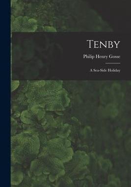 [预订]Tenby: A Sea-Side Holiday 9781016056298