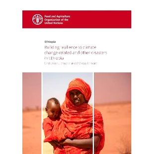 climate resilience related Challenges other forw the way Ethiopia change and 预订 lessons Building disasters