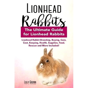Rescue Rabbits Buying Breeding 预订 Cost Food and Supplies Rabbit Health Keeping More Care Lionhead