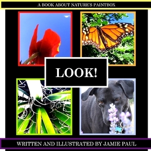 book about nature’s 9781505392166 预订 paintbox Look