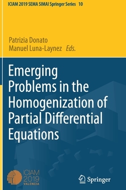【预订】Emerging Problems in the Homogenization of Partial Differential Equations