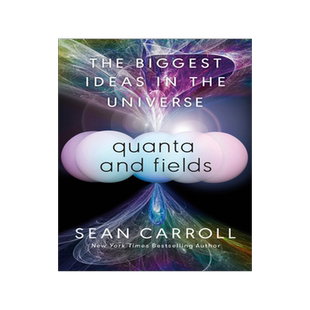 现货 量子与场 Sean Carroll 大图景作者 宇宙中伟大的思想 英文原版 Quanta and Fields