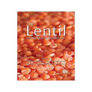 预订 Lentil