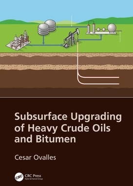 【预订】Subsurface Upgrading of Heavy Crude Oils and Bitumen