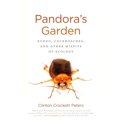 Kudzu, Cockroaches, and Other Misfits of