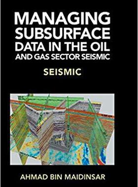 【预售】Managing Subsurface Data in the Oil and Gas Sector Seismic: Seismic