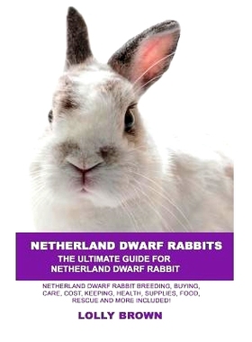 预订 Netherland Dwarf Rabbits: Netherland Dwarf Rabbit Breeding, Buying, Care, Cost, Keeping, Health, Supplies, Food, Re