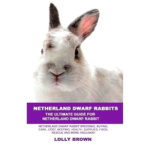 Rabbits Food Cost Netherland Dwarf Keeping Breeding Rabbit Supplies 预订 Buying Health Care