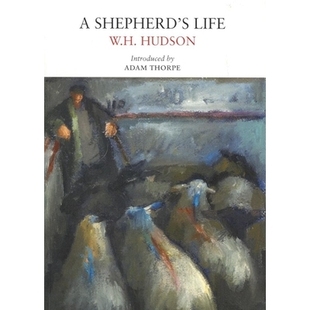 预订 A Shepherd’s Life: 9780956254573