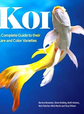 预订 Koi: A Complete Guide to Their Care and Color Varieties: 9781770855199