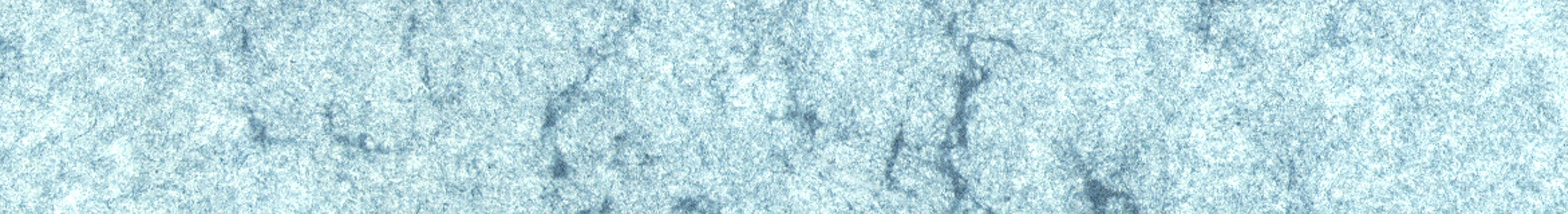 国外库房发货,通常付款后5-8周到货!