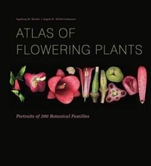 [预订]Atlas of Flowering Plants: Visual Studies of 200 Deconstructed Botanical Families 9780764361333