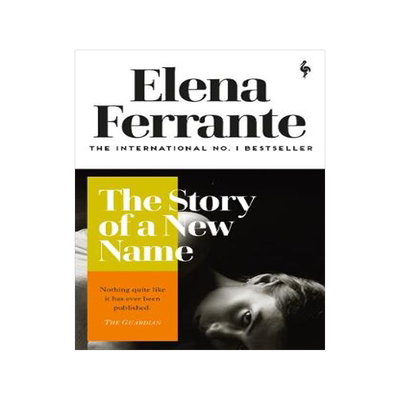 那不勒斯四部曲2新名字的故事