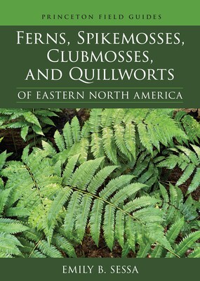 预订 Ferns, Spikemosses, Clubmosses, and Quillworts of Eastern North America