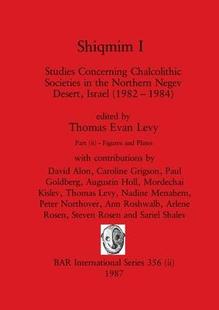 9781407388489 预订 the Societies Israel Desert Concerning Negev Shiqmim Chalcolithic Studies Northern Part