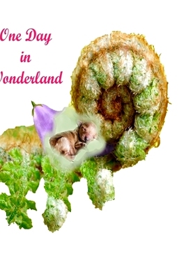 预订 One Day In Wonderland: Magic of advanture in wonderland.Colorful Nature.: 9781086531039