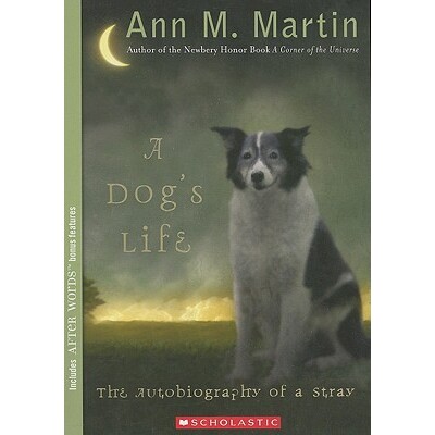 The Autobiography of a Stray (Scholastic
