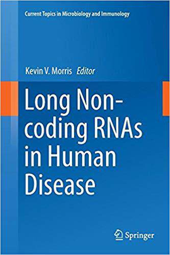 【预售】Long Non-Coding Rnas in Human Diseas...