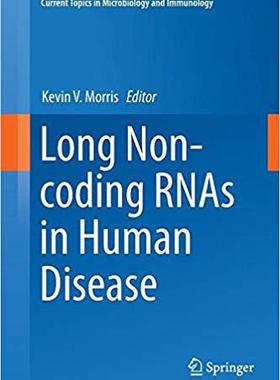 【预售】Long Non-Coding Rnas in Human Diseas...