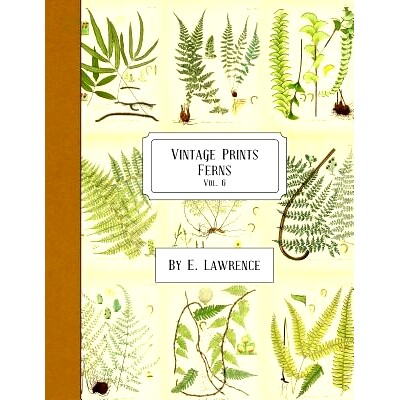预订 Vintage Prints: Ferns: Vol. 6: 9781987710069