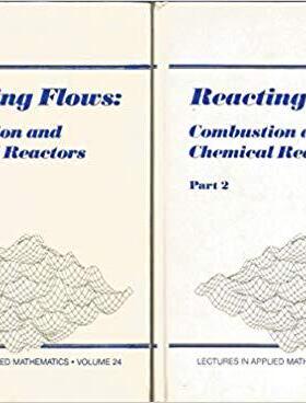 【预售】Reacting Flows