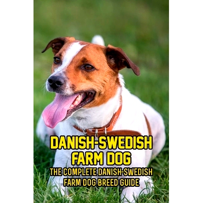 预订 Danish-Swedish Farm Dog: The Complete Danish-Swedish Farm Dog Breed Guide: How Well You Know about Your Danish-Swed