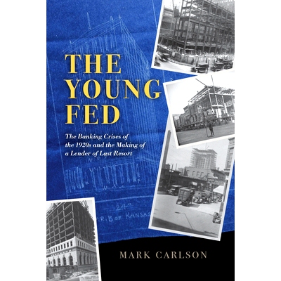 预订 The Young Fed: The Banking Crises of the 1920s and the Making of a Lender of Last Resort 银龄金融:20世纪银行危机的