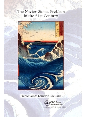 现货 The Navier-Stokes Problem in the 21st Century 21世纪的Navier-Stokes问题: 9780367658571