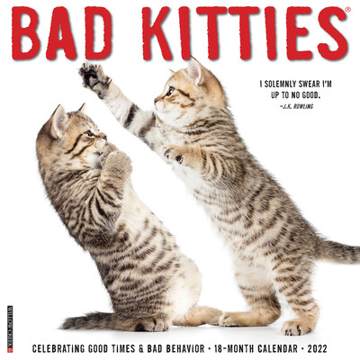【预订】Bad Kitties 2022 Wall Calendar, Cats and Kittens 9781549216787