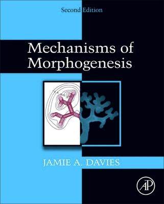 [预订]Modeling of Post-Myocardial Infarction 9780443136115