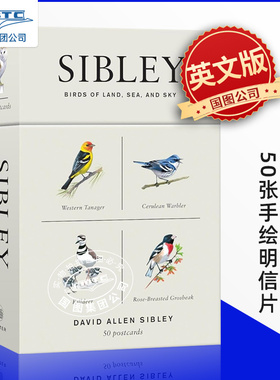 预售 西布利陆地、海洋和天空的鸟类 50张手绘明信片 英文原版 Sibley Birds of Land, Sea, and Sky: 50 Postcards